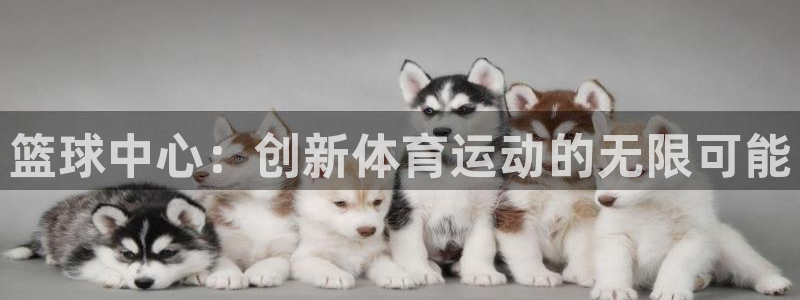 篮球中心：创新体育运动的无限可能