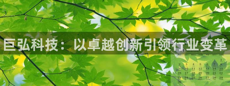 巨弘科技：以卓越创新引领行业变革