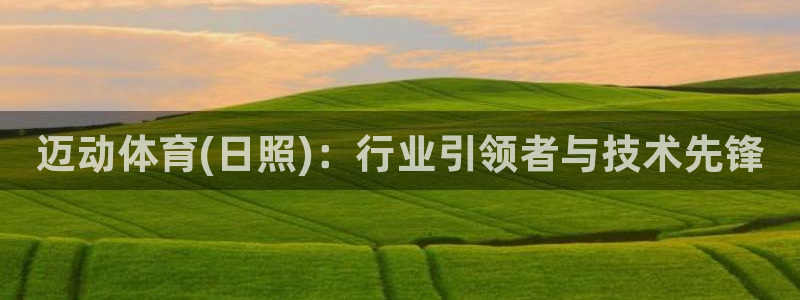 迈动体育(日照)：行业引领者与技术先锋