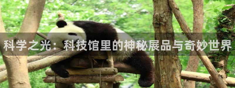 科学之光：科技馆里的神秘展品与奇妙世界