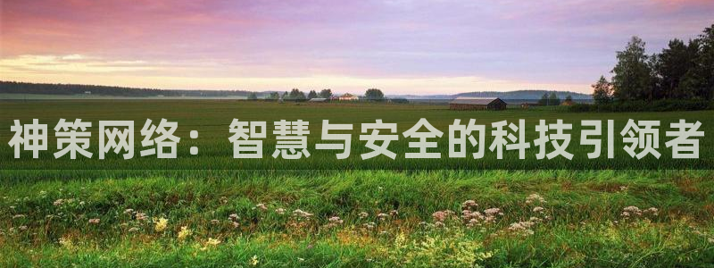 神策网络：智慧与安全的科技引领者